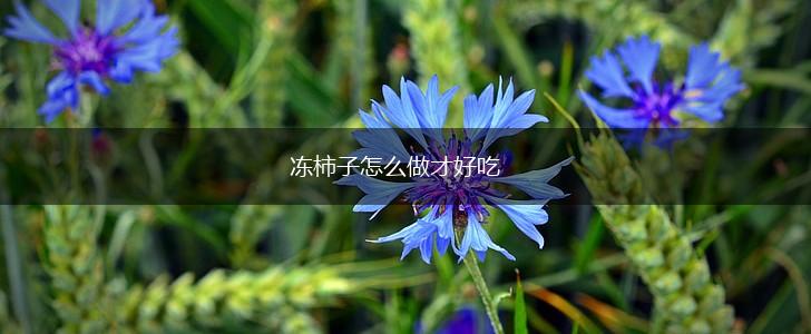 冻柿子怎么做才好吃,第1张