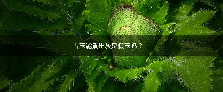 古玉能煮出灰是假玉吗？,第1张