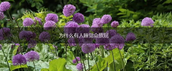 为什么有人睡觉会放屁,第1张