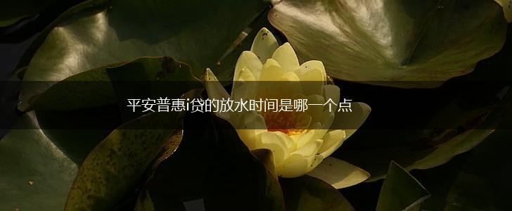 平安普惠i贷的放水时间是哪一个点,第1张
