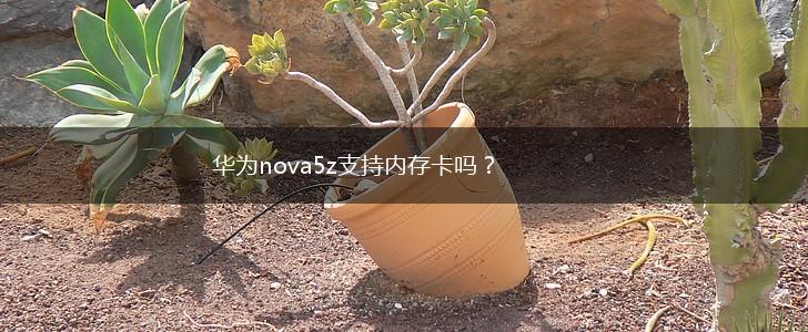 华为nova5z支持内存卡吗？,第1张