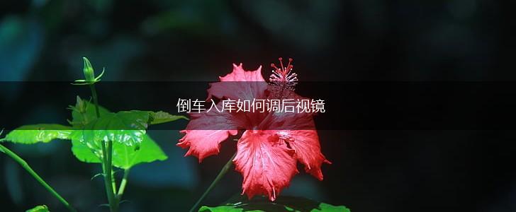 倒车入库如何调后视镜,第1张