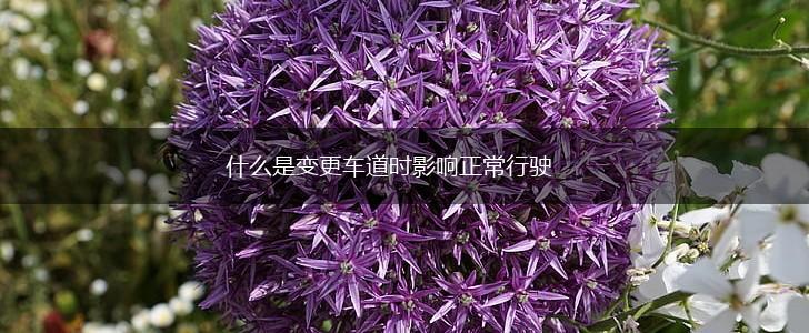 什么是变更车道时影响正常行驶,第1张