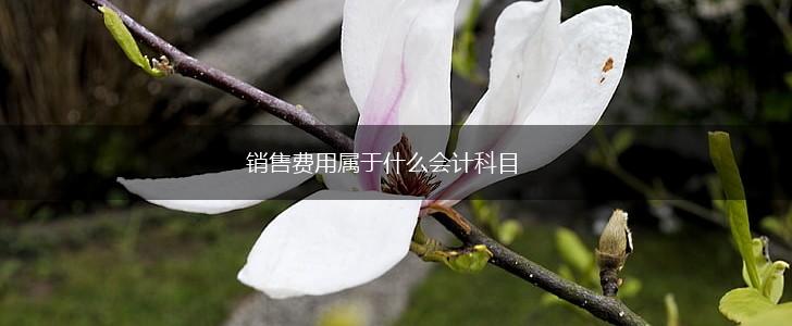 销售费用属于什么会计科目,第1张