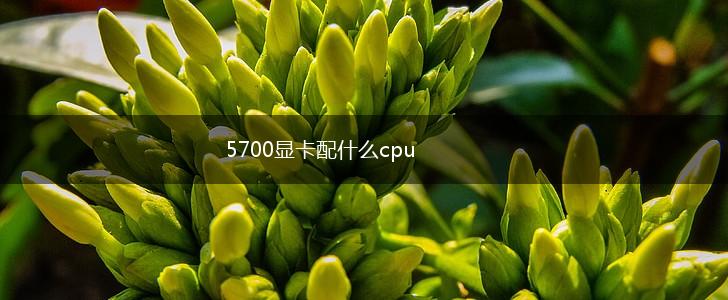5700显卡配什么cpu,第1张