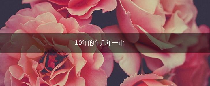 10年的车几年一审,第1张