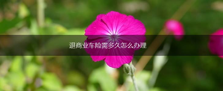 退商业车险需多久怎么办理,第1张
