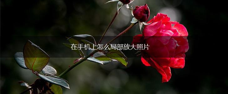 在手机上怎么局部放大照片,第1张