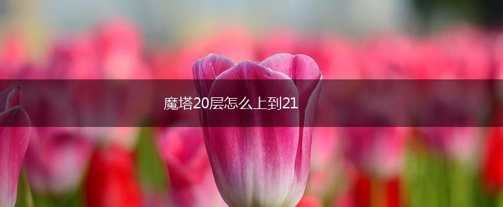 魔塔20层怎么上到21,第1张