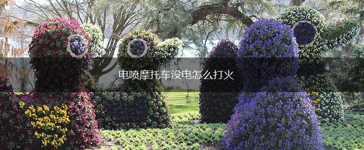电喷摩托车没电怎么打火,第1张