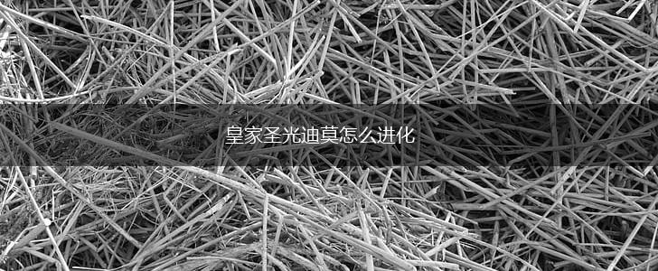 皇家圣光迪莫怎么进化,第1张