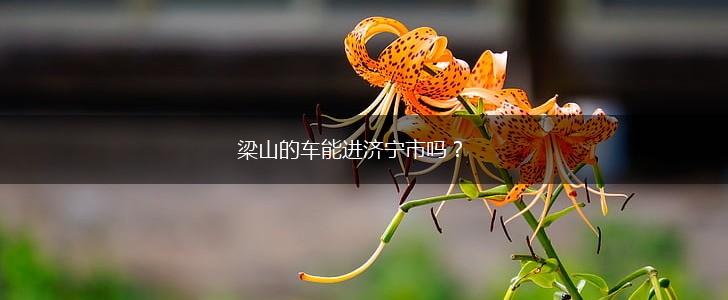 梁山的车能进济宁市吗？,第1张