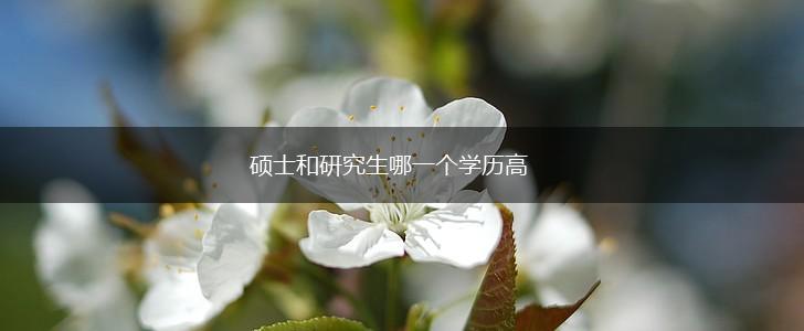 硕士和研究生哪一个学历高,第1张