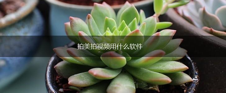 拍美拍视频用什么软件,第1张