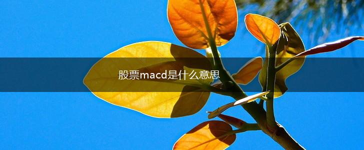 股票macd是什么意思,第1张