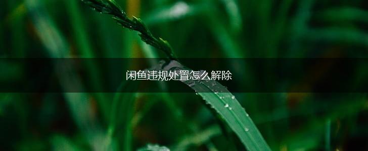 闲鱼违规处置怎么解除,第1张