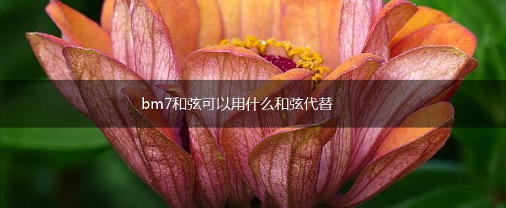 bm7和弦可以用什么和弦代替,第1张