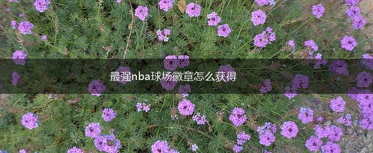 最强nba球场徽章怎么获得,第1张
