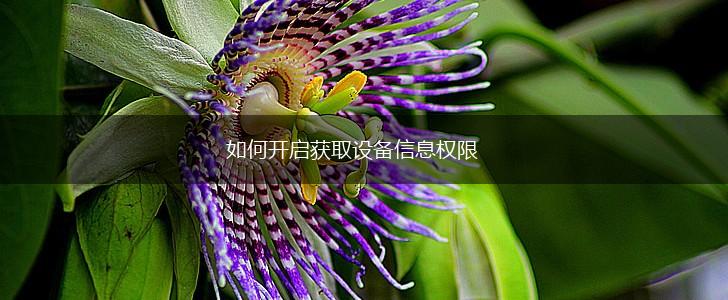 如何开启获取设备信息权限,第1张