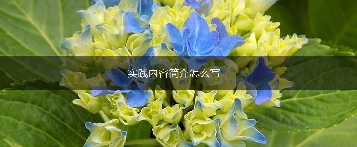 实践内容简介怎么写,第1张