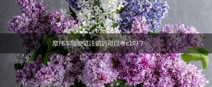 摩托车驾驶证注销后可以考c1吗？,第1张