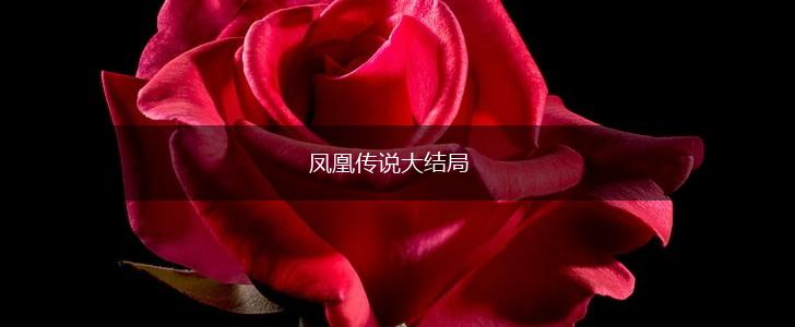 凤凰传说大结局,第1张