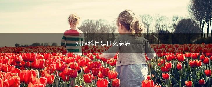 对应科目是什么意思,第1张