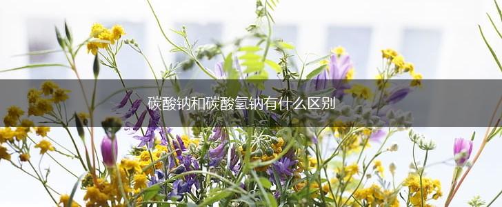 碳酸钠和碳酸氢钠有什么区别,第1张