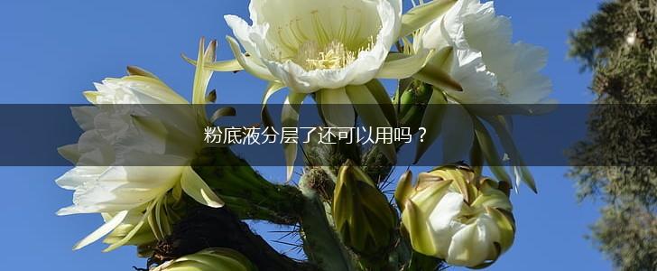 粉底液分层了还可以用吗？,第1张