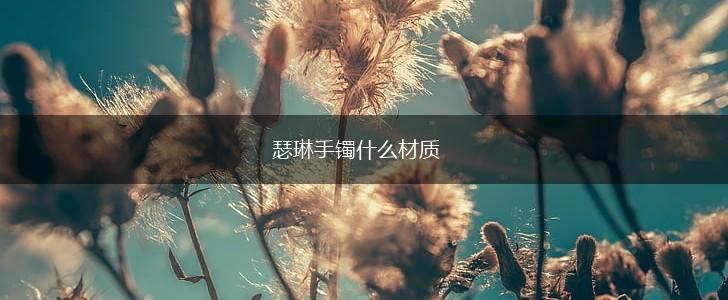 瑟琳手镯什么材质,第1张