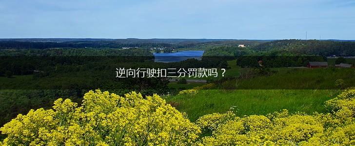 逆向行驶扣三分罚款吗？,第1张