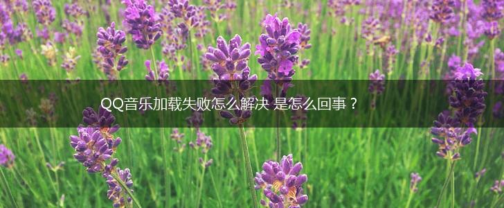QQ音乐加载失败怎么解决 是怎么回事？,第1张