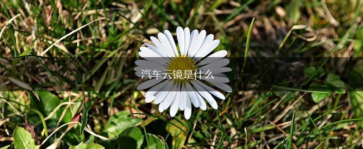 汽车云镜是什么,第1张