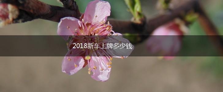 2018新车上牌多少钱,第1张