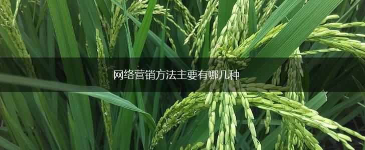 网络营销方法主要有哪几种,第1张
