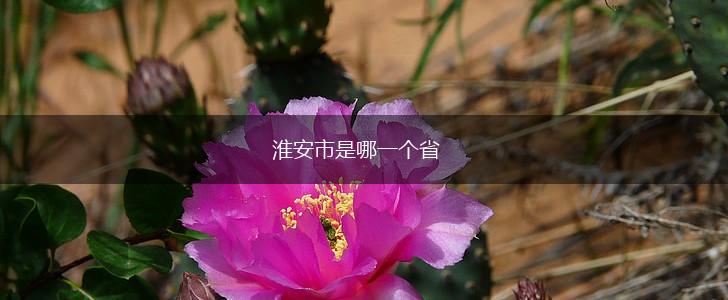 淮安市是哪一个省,第1张