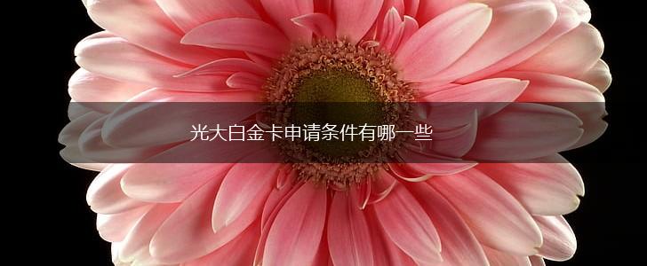 光大白金卡申请条件有哪一些,第1张