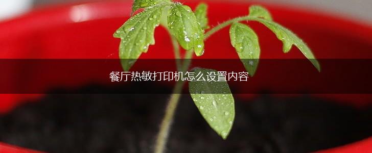 餐厅热敏打印机怎么设置内容,第1张