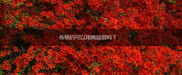 传统钓可以用商品饵吗？,第1张