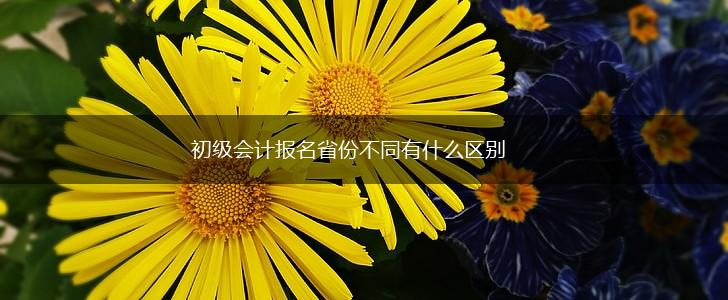 初级会计报名省份不同有什么区别,第1张