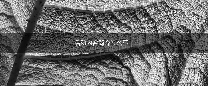 活动内容简介怎么写,第1张
