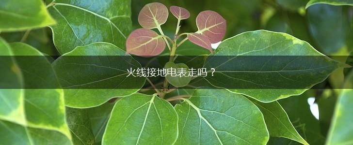火线接地电表走吗？,第1张