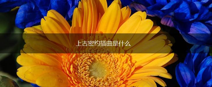 上古密约插曲是什么,第1张