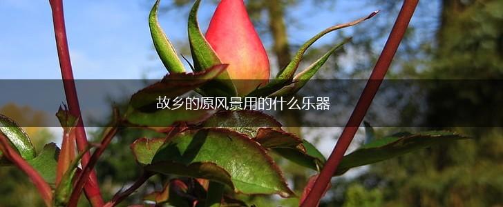 故乡的原风景用的什么乐器,第1张