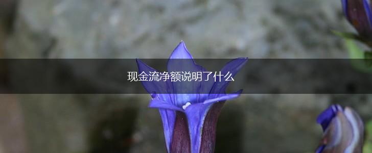 现金流净额说明了什么,第1张
