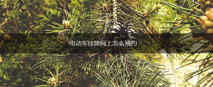 电动车挂牌网上怎么预约,第1张