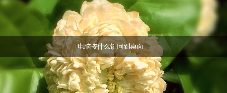 电脑按什么键回到桌面,第1张