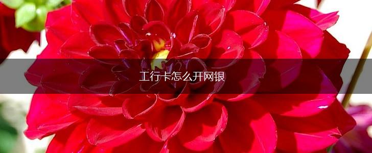 工行卡怎么开网银,第1张