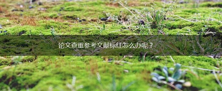 论文查重参考文献标红怎么办呢？,第1张