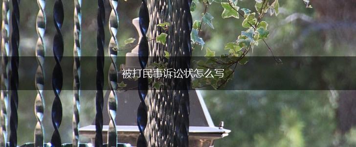 被打民事诉讼状怎么写,第1张